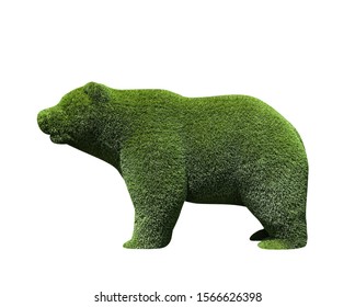 Beautiful Bear Shaped Topiary Isolated On White. Landscape Gardening