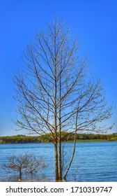 Beautiful Beaver Lake In Arkansas