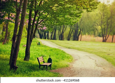 Beautiful Bench In The Park. Spring Sunny Day