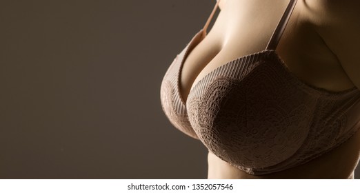 Beautiful big breasts in bra on gray background