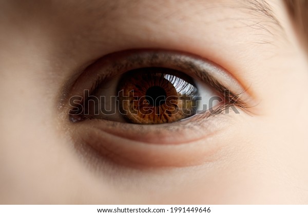 Beautiful big brown eye close-up. Caucasian\
appearance. Part of a child\'s body. Dark saturated color. Eyesight\
check. Macro. Happy childhood. Caring for the health of vision.\
Good emotion.\
Happiness.