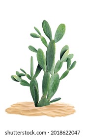 Beautiful big cactus growing in sand on white background