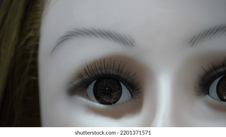 Beautiful And Big Eyelashes Image