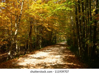  Beautiful bike trail through a forest in autumn