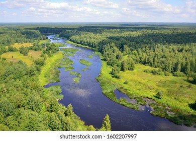 森 俯瞰 の写真素材 画像 写真 Shutterstock