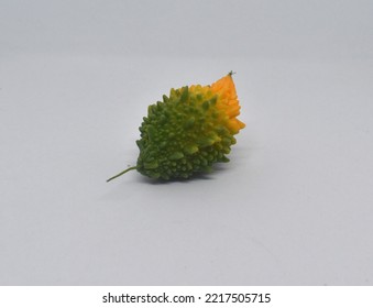 Beautiful Bitter Gourd Still Photo.