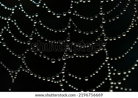 Beautiful black background with necklace of water droplets on cobweb.Spiderweb net texture with morning rain dew close-up.Rain drops on spider web in nature.Macro pattern in contrast focus