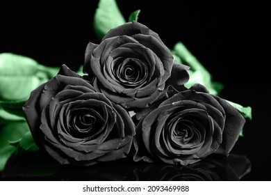 Beautiful Black Roses On Dark Background Stock Photo 2093469988 ...