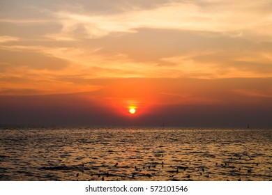 Beautiful blazing sunset landscape at black sea and orange sky above it with awesome sun golden reflection on calm waves as a background.  - Shutterstock ID 572101546