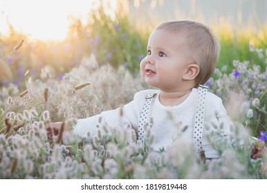 Beautiful Blond Baby In A Suit With Suspenders Sits In The Grass