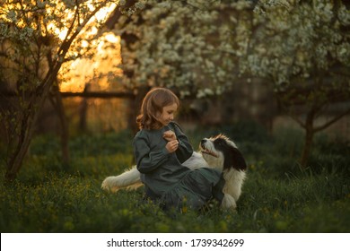 Beautiful blond kin with a white dog in the garden in a summer day. Photo with selective focus & toning - Shutterstock ID 1739342699