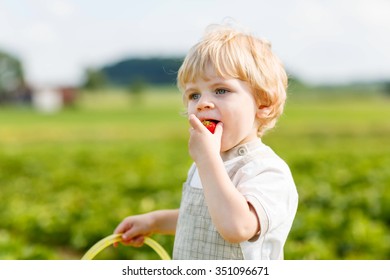 Beautiful blond little toddler kid boy picking and eating strawberries on organic pick a berry farm in summer, on warm sunny day. Harvest fields. Healthy food children. Gardening and farming concept - Powered by Shutterstock