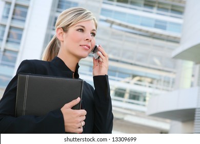 A Beautiful Blonde Business Woman On The Phone At Work