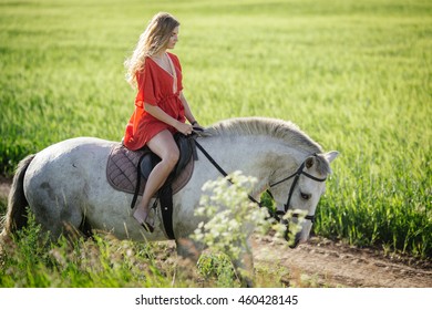 Beautiful Blonde Girl Riding Horse Countryside Stock Photo 460428145 ...