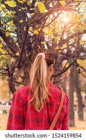 A Beautiful Blonde Pony Tail Of A Girl In Autumn Park