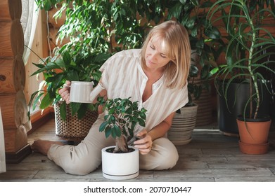 A beautiful blonde woman takes care of houseplants. A woman watering ficus in a white pot. Lots of plants in a wooden house. Concept: home gardening and floriculture.