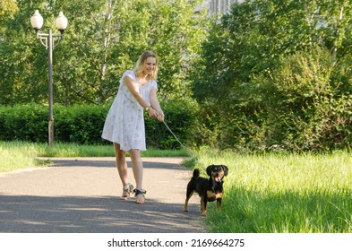 Beautiful blonde young woman with a cute dog for a walk in the summer evening in the park.