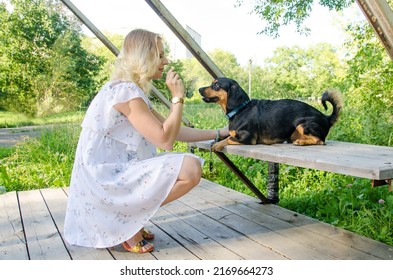 Beautiful blonde young woman in a light dress is playing with a cute small dog.