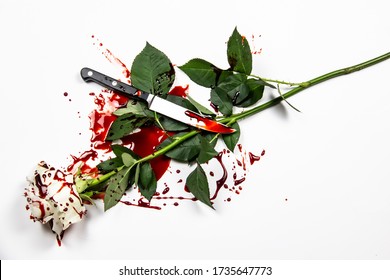 Beautiful and bloody white rose with knife on the white background. Bloody rose - conceptual photo.  White rose with knife and blood.