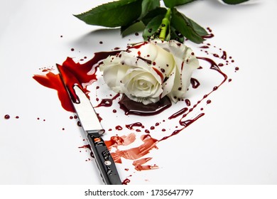 Beautiful and bloody white rose with knife on the white background. Bloody rose - conceptual photo.  White rose with knife and blood.