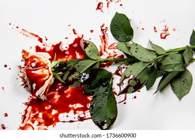 Beautiful and bloody white rose on the white background. Bloody rose - conceptual photo.  White rose with blood.