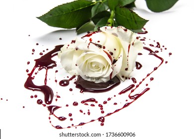 Beautiful and bloody white rose on the white background. Bloody rose - conceptual photo.  White rose with blood.  A Bleeding rose