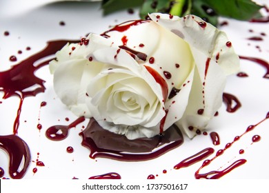 Beautiful and bloody white rose on the white background. Bloody rose - conceptual photo.  White rose with blood. A Bleeding rose