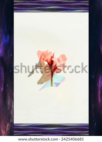 A beautiful bloom, beauty, flower opening, blooming, profession, professional preparation, background, back of page, blank banner, use for different types of advertising