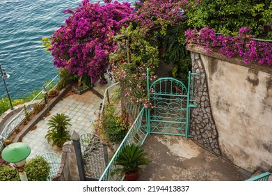 Beautiful Blooming Italian Courtyard At A Seaside Villa In Southern Italy.