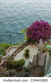 Beautiful Blooming Italian Courtyard At A Seaside Villa In Southern Italy.