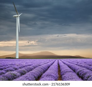 Beautiful blooming lavender field and wind turbine against cloudy sky at sunset