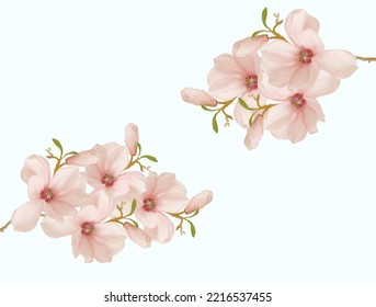 Beautiful blooming magnolia flower for background.  - Shutterstock ID 2216537455