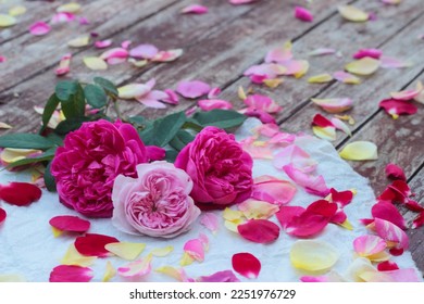 Beautiful blooming rose flower decorated for valentine background or wallpaper.  - Shutterstock ID 2251976729