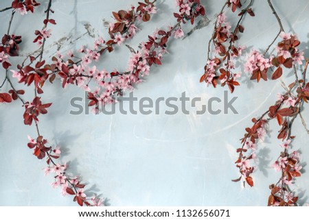 Similar – Carnation Flowers Frame Background