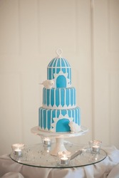 Beautiful Blue Birdcage Wedding Cake