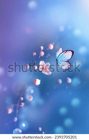 Beautiful blue butterfly in flight over branch of flowering tree in spring at Sunrise on light blue background.