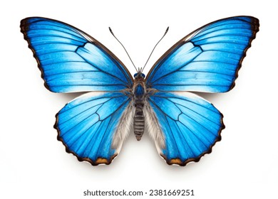 A beautiful blue butterfly photographed against a clean white background. Perfect for nature and wildlife enthusiasts. - Powered by Shutterstock