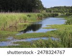 Beautiful Blue Canal Running Through Old Rice Field; Ravenel, South Carolina.