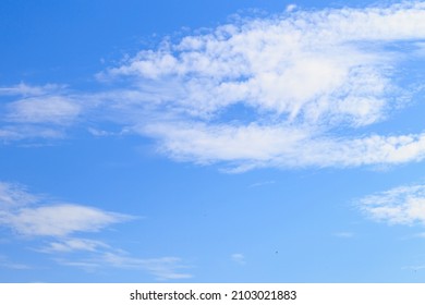 Beautiful Blue Cloudy Sky In Windy Weather. Background Or Blank For Design.