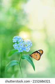 Beautiful Blue Flower And Butterfly In Garden, Green Natural Blurred Background. Gentle Romantic Scene Of Wild Nature. Dreamy Artistic Image.  Purity Of Nature, Care About Ecology Of The World Concept