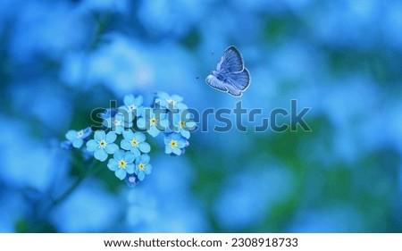 beautiful blue flowers and flying butterfly on abstract nature background. Gentle romantic scene of wild nature. dreamy artistic image. purity of nature, care about ecology of the world concept