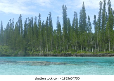 Beautiful Blue Lagoon In Isle Of Pines 