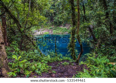 O Caminhar da Tartaruga Beautiful-blue-lake-middle-jungle-450w-533549461