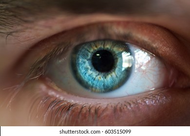 Beautiful blue male eye close-up