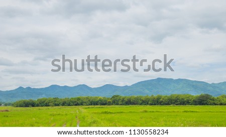 Beautiful Blue Mountain and contry vinllage houses among green trees forest and field farm in niceday.