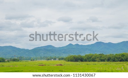 Beautiful Blue Mountain and contry vinllage houses amongg green trees forest and field farm in niceday.
