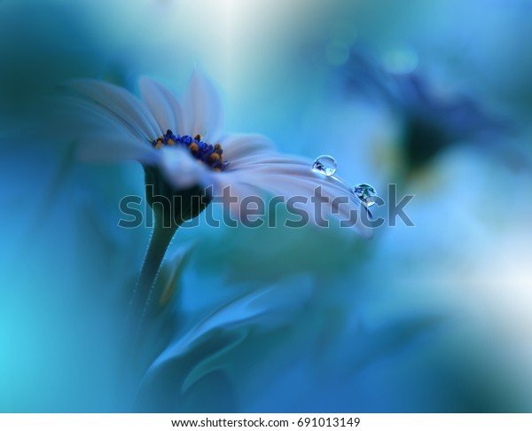 美しい青の自然の背景 落ち着いたマクロ写真 素晴らしい春の花 クリエイティブデザイン マジックライト エクストリームの接写 コンセプト抽象的な ファンタジー花柄アート 恋 落書き の写真素材 今すぐ編集