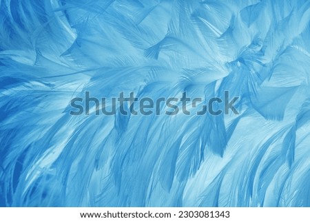 Beautiful blue pastel bird feathers pattern texture background.