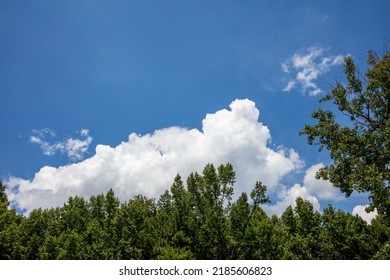 Beautiful Blue Shy With Puffy White Clouds 