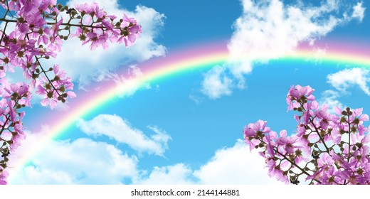 Beautiful Blue Sky, Natural Rainbow, Pink Spring Flowers. Bottom Up View. Sky And Flower Image For Ceiling Decoration